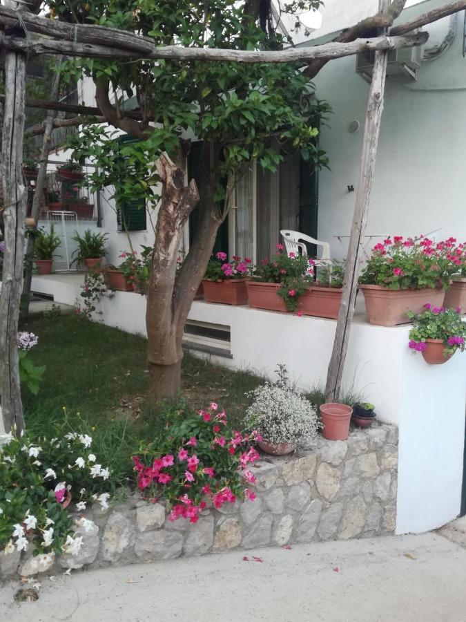 Sorrento Studios Lemons Hill Bagian luar foto