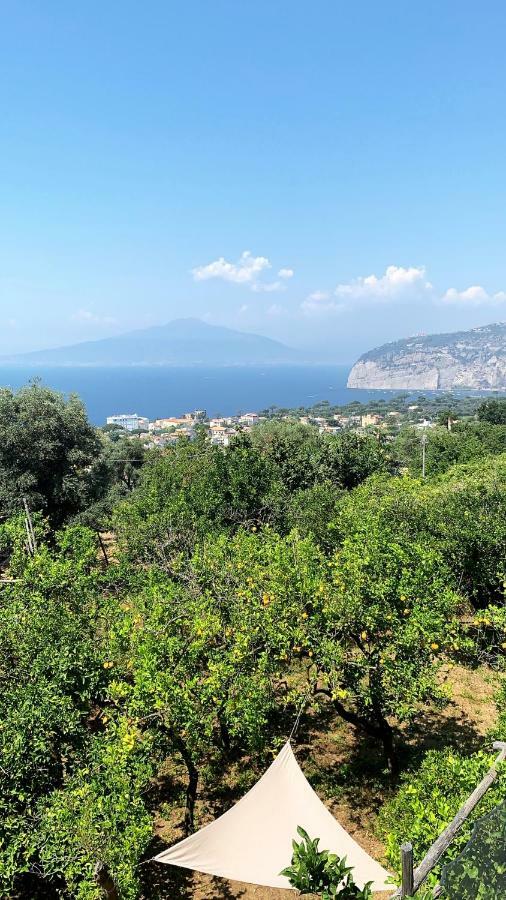 Sorrento Studios Lemons Hill Bagian luar foto