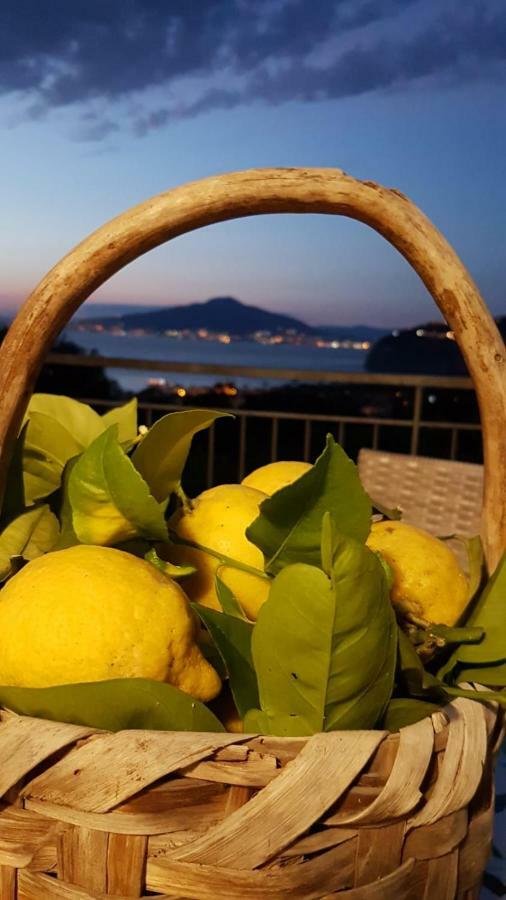 Sorrento Studios Lemons Hill Bagian luar foto