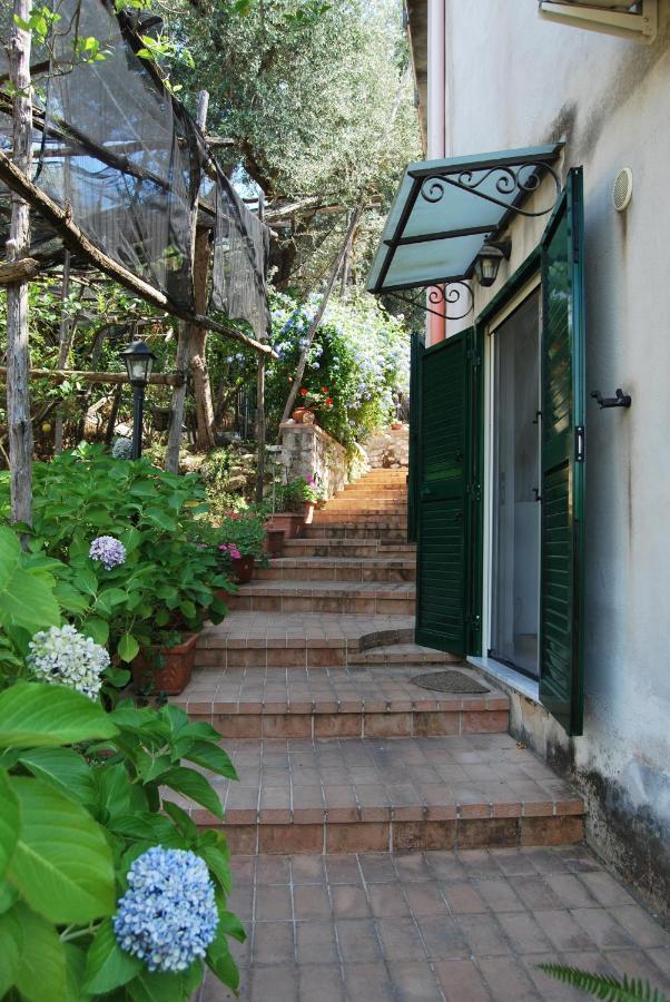 Sorrento Studios Lemons Hill Bagian luar foto